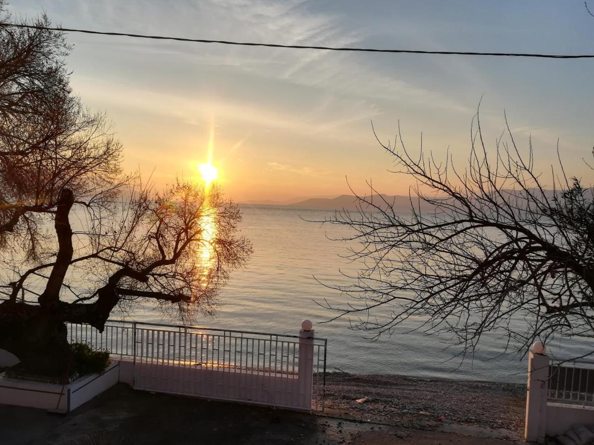 Akrogiali Agiokampos  Exteriér fotografie